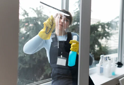 Nettoyage de vitres intérieures et extérieures à Sainte-Croix-en-Jarez